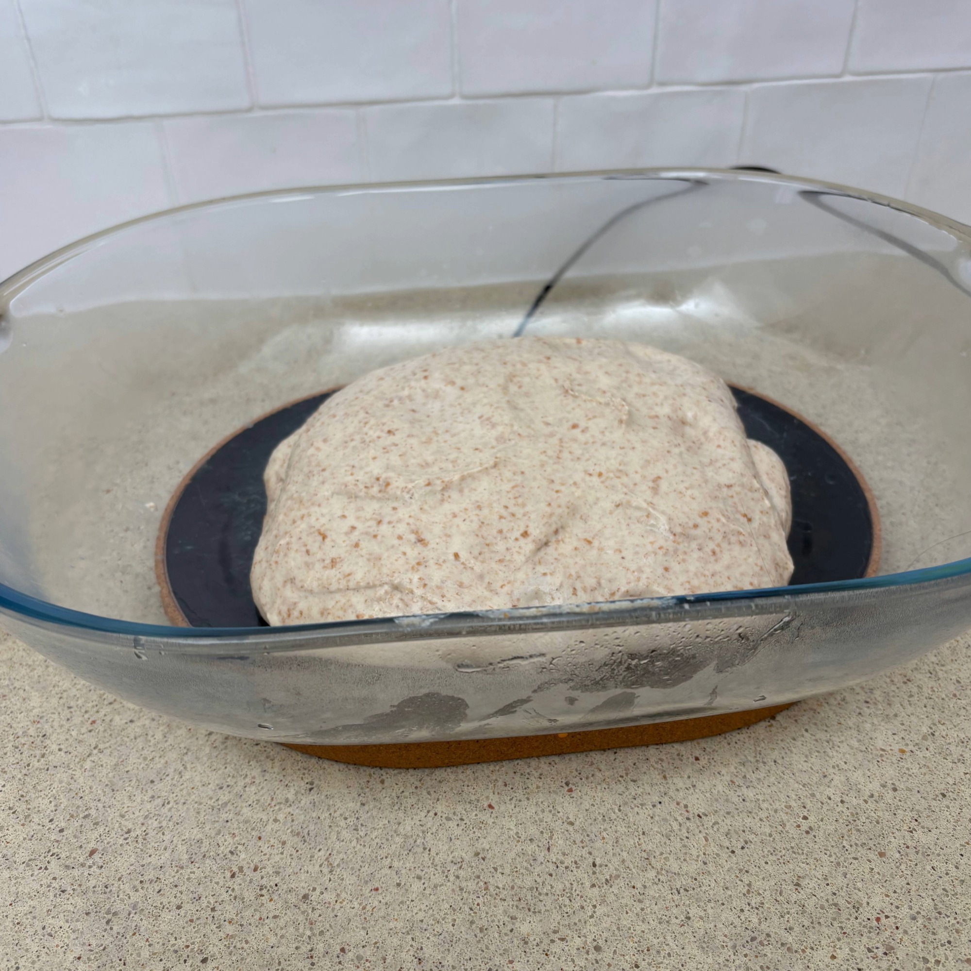 Testing the SourHouse DoughBed Sourdough Keeper