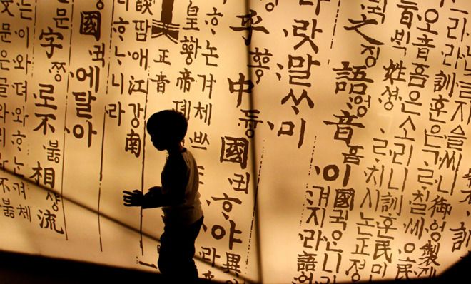 Boy visiting exhibit