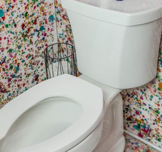 White clean toilet bowl