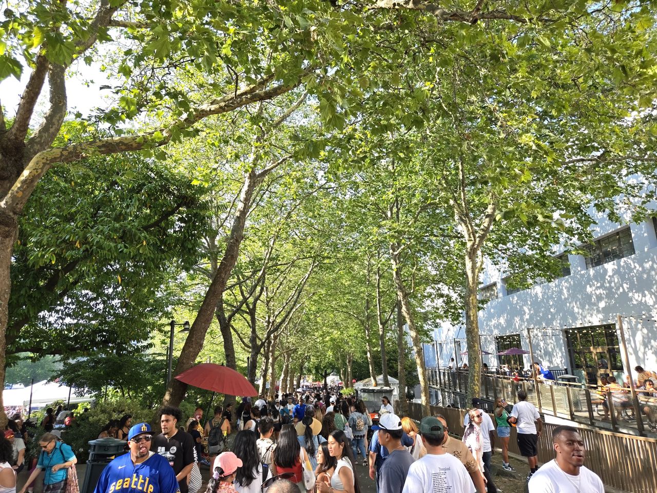 A crowd of people walking underneath a walkway of trees