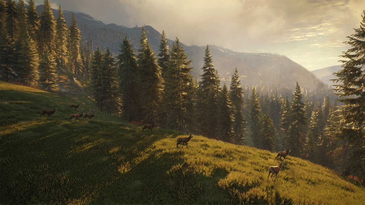 the hunter call of the wild save game editor