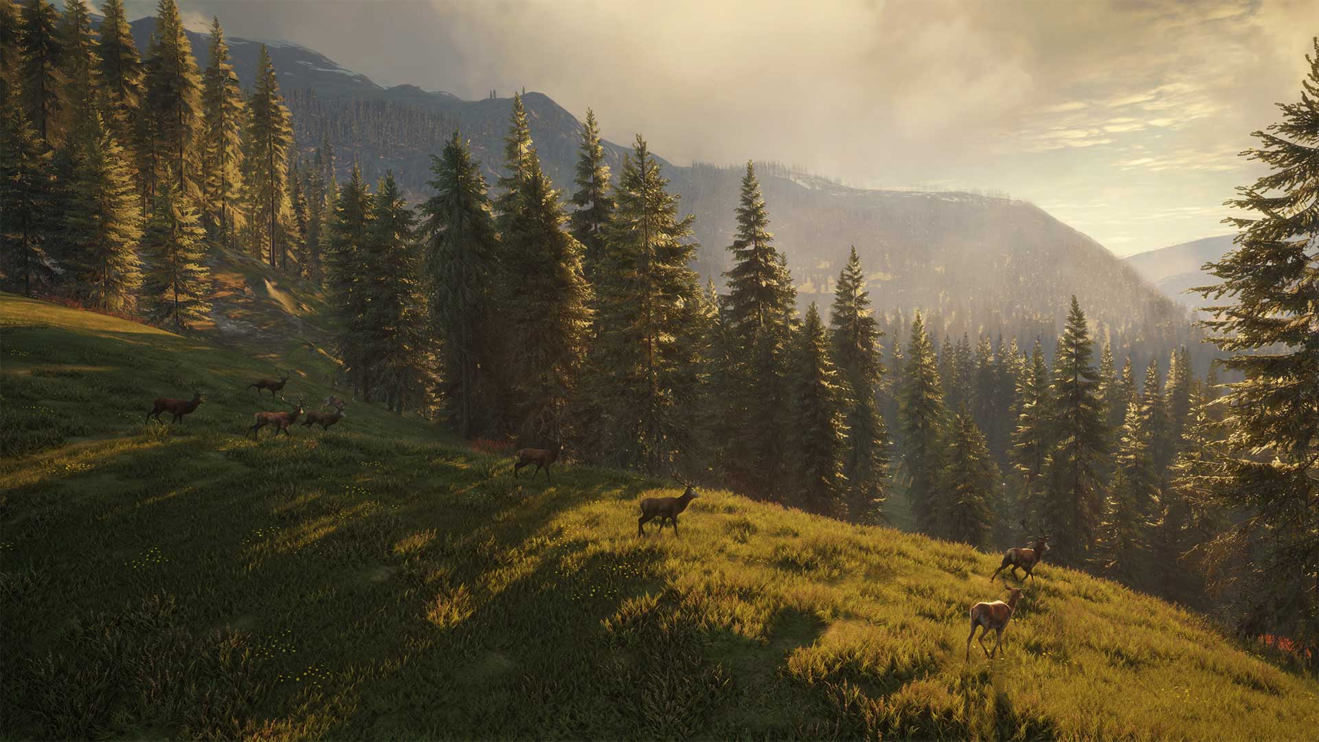 How The Hunter: Call of the Wild devs create the prettiest forests | PC