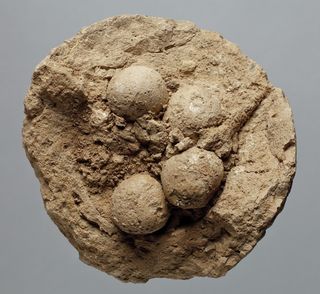 This image shows a clay ball, with tokens, found broken at the site of Choga Mish.