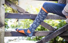 Shires-Aubrion-socks.jpg