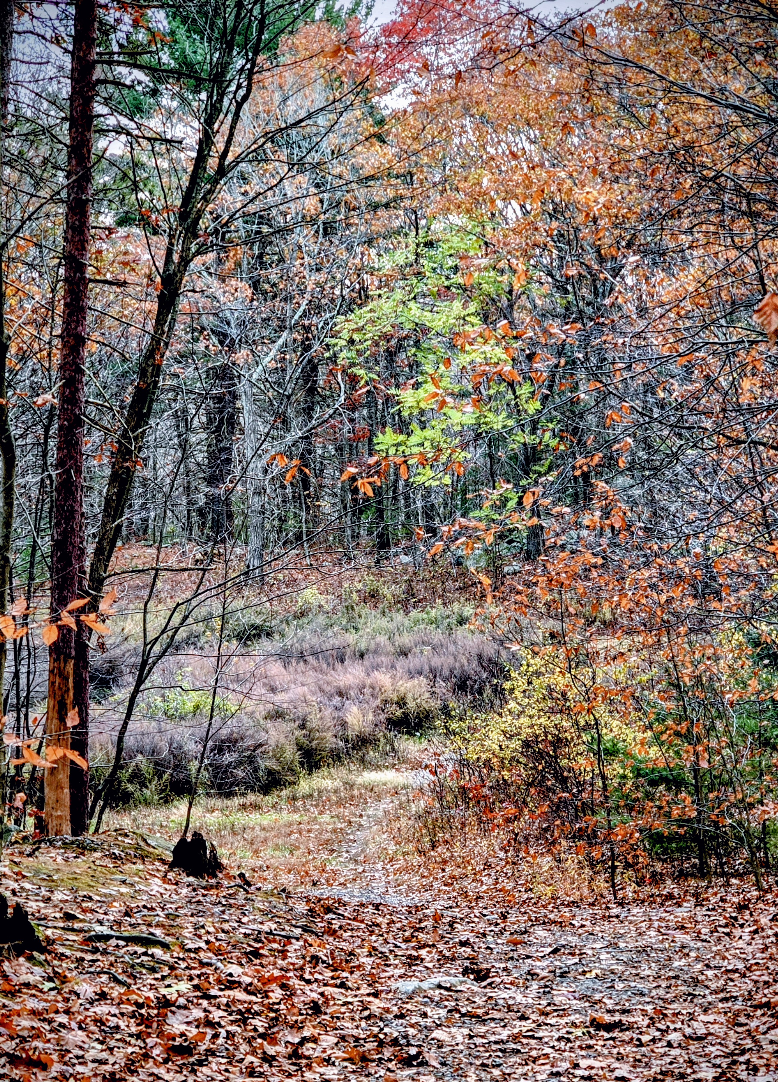 GuruShots - Nature&rsquo;s Masterpiece 2026