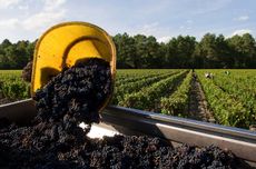 Pessac-L&eacute;ognan 2020