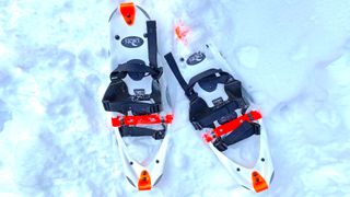 Best snowshoes – Dion Model 121 snowshoes