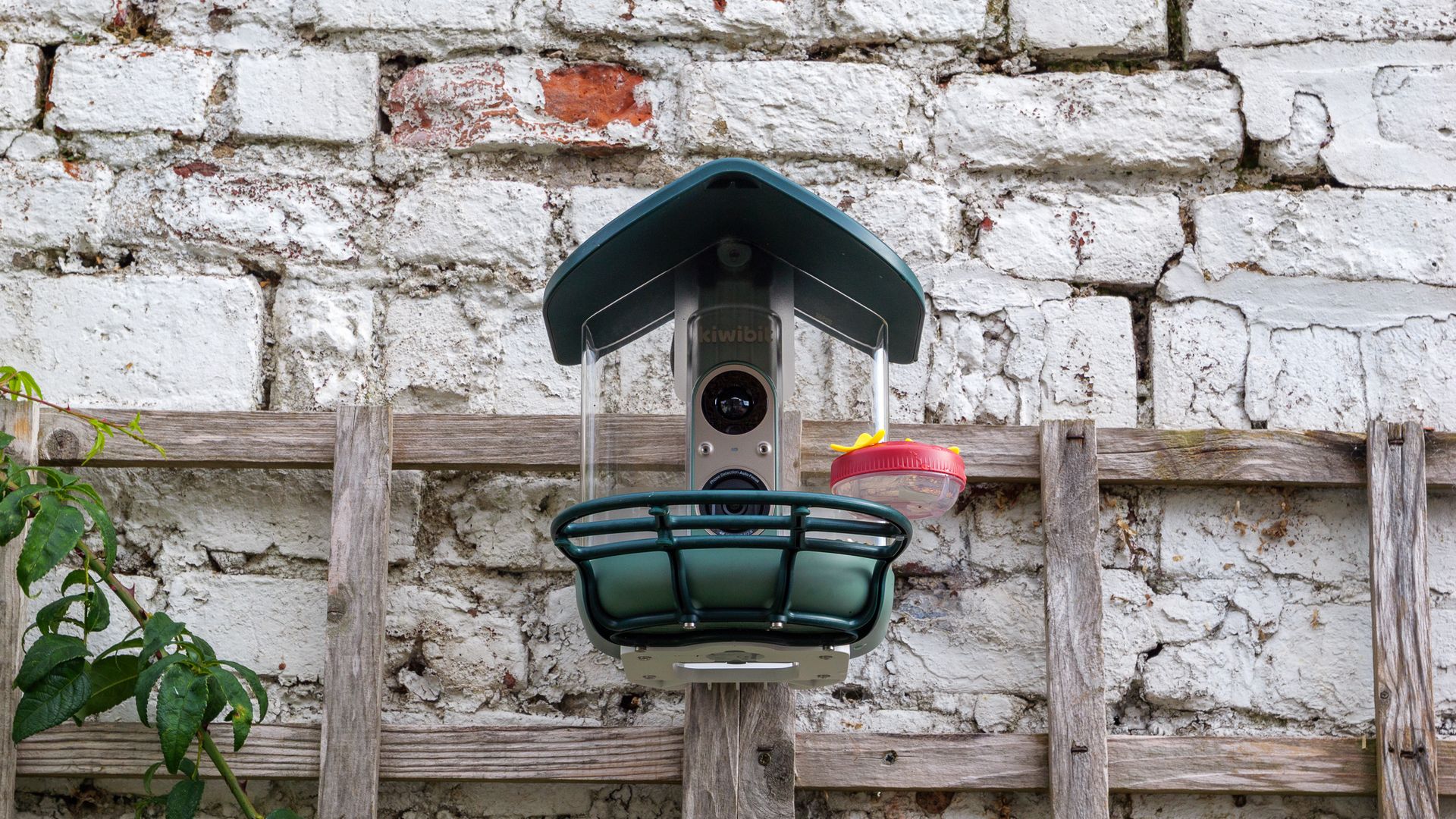 Kiwibit Bird Feeder 2 Pro bird feeder camera