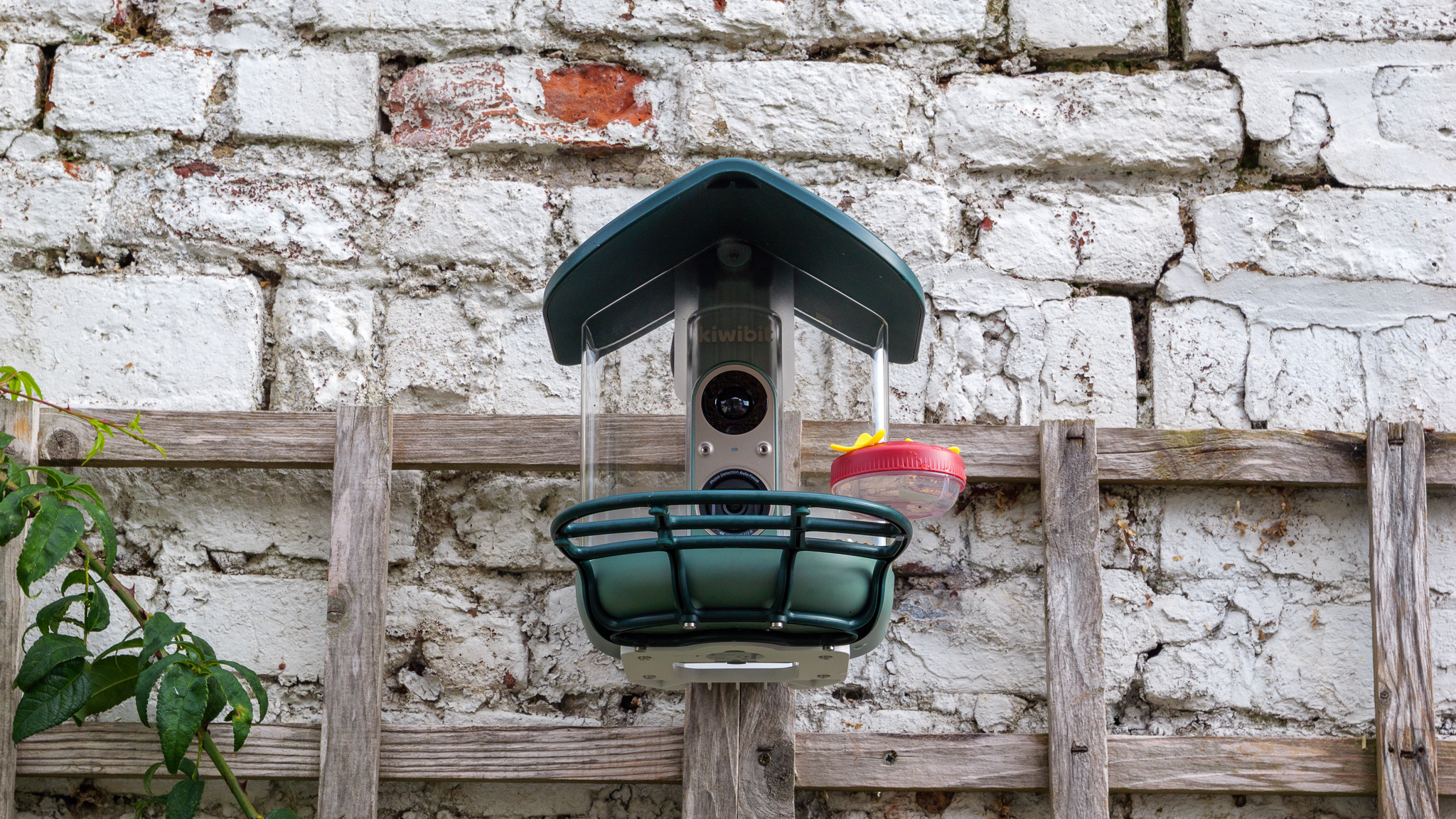 Kiwibit Bird Feeder 2 Pro bird feeder camera
