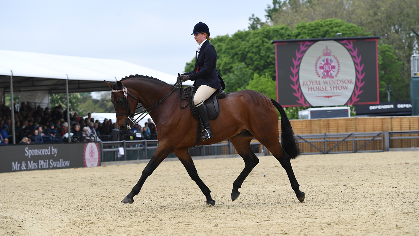 Royal Windsor Horse Show