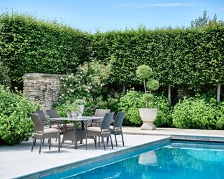 A swimming pool garden area with a tall living wall