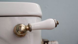 picture of a toilet lever close up