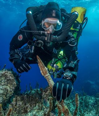 Project chief diver of the "Return to Antikythera" mission, Philip Short examines a bronze spear removed from the ancient Greek shipwreck.