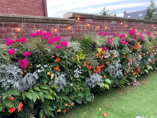 a living wall with flowers in