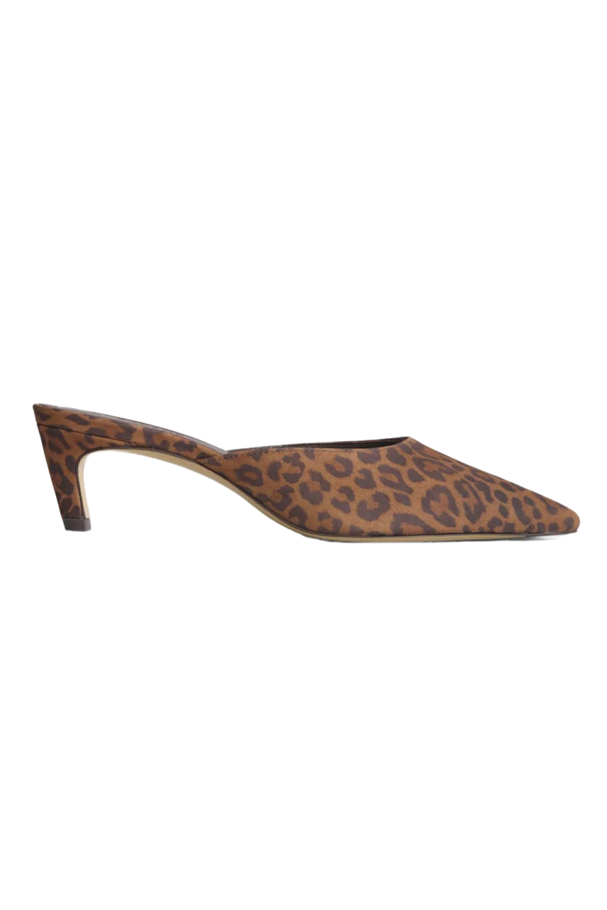 Everlane mule