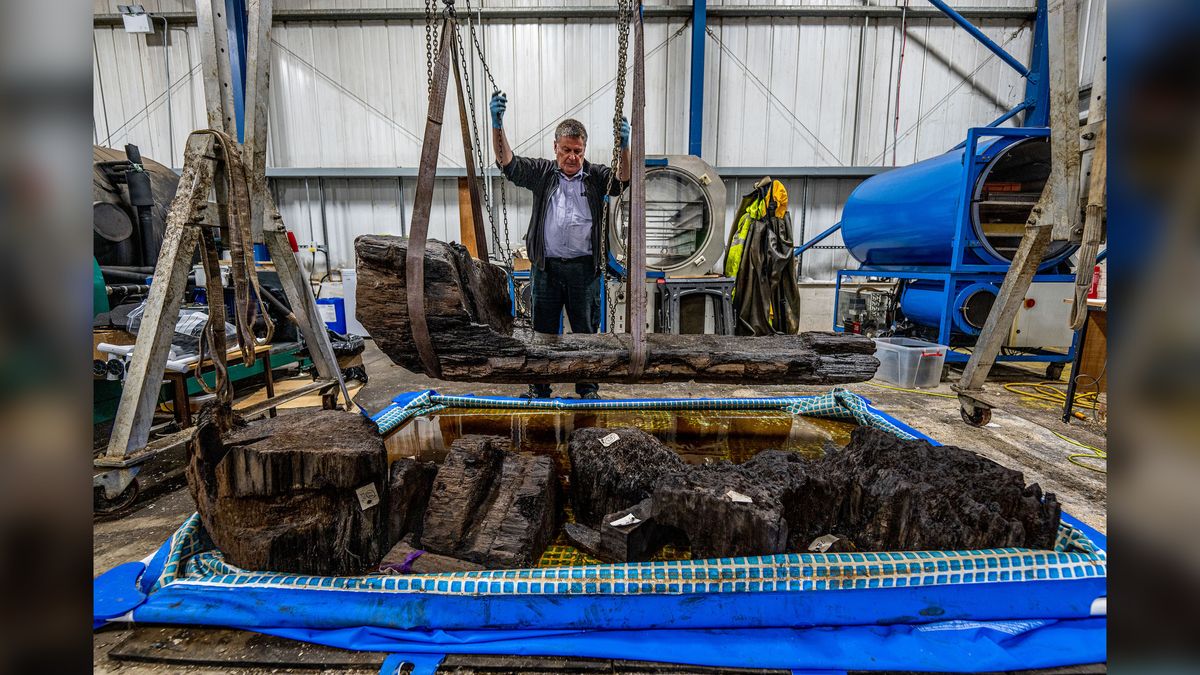 Ian Panter, head of conservation at York Archaeological Trust, examines the Bronze Age coffin.