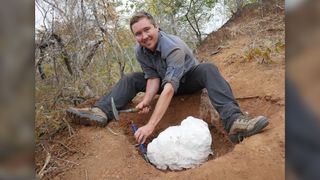 Study first author Christopher Griffin excavates the Mbiresaurus raathi skeleton, wrapped in a plaster field jacket, in 2017.