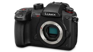 The GH5S uses the same Micro Four Thirds format sensor as other Panasonic mirrorless cameras.