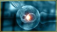 illustration of an egg cell being fertilized through IVF with a strand of DNA superimposed on it