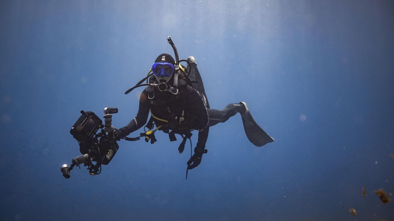 Dan Abbott with whales and sharks 