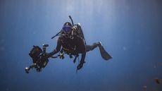 Dan Abbott with whales and sharks 