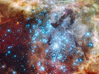 Star cluster in 30 Doradus Nebula