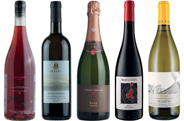 Sicily wines