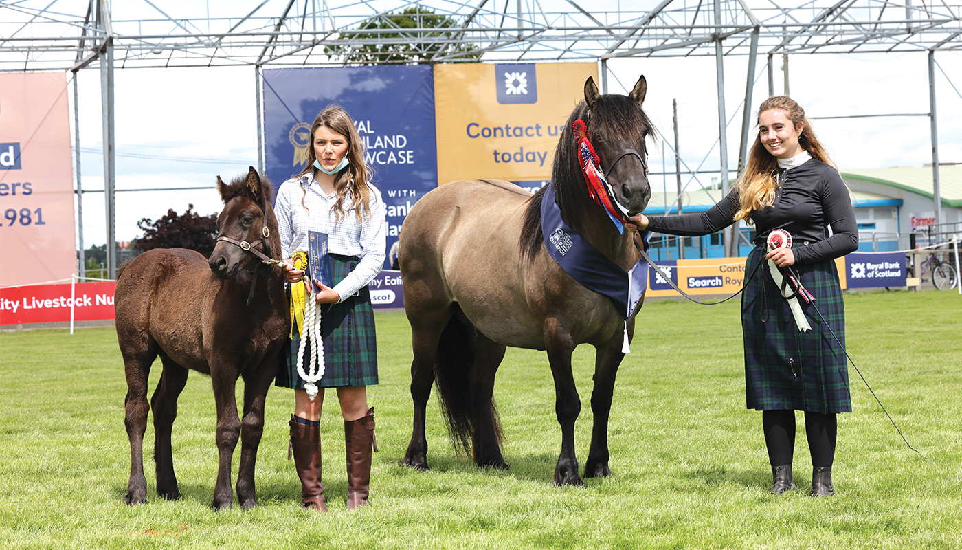 HAH311.sh_royalhighland.querina_of_carlung_159_highland_in_hand_female_champion_day_rate.jpg