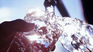 A glass of water being filled from the faucet in the sunlight.