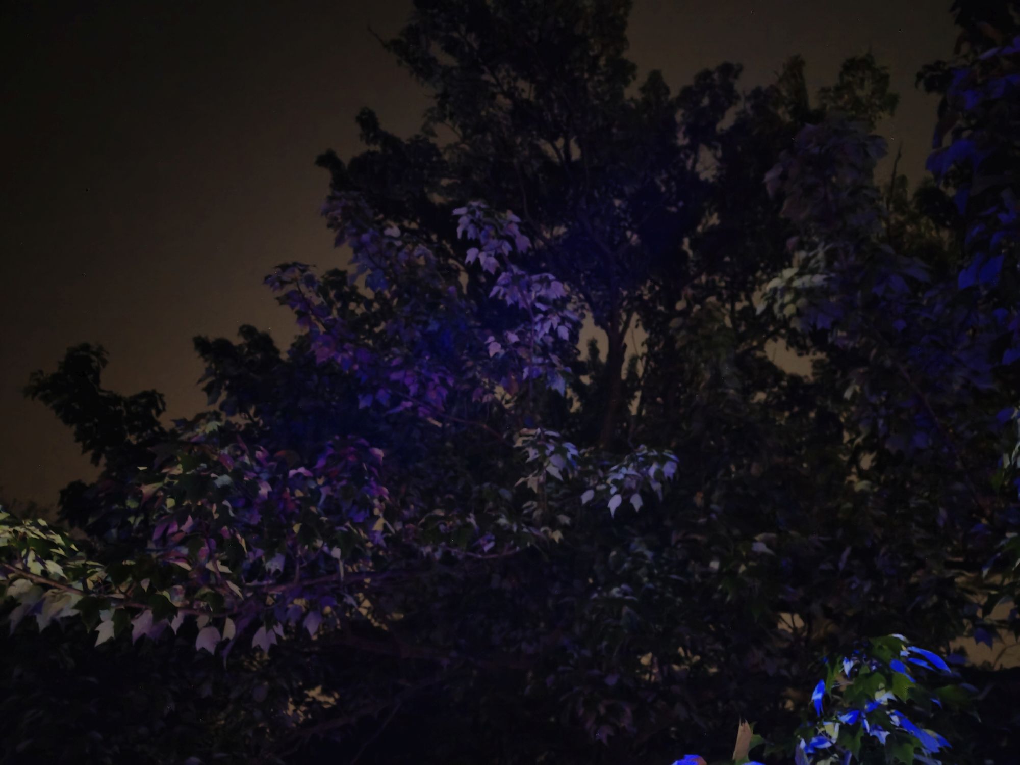 Motorola Razr Ultra 2025 low light sample.