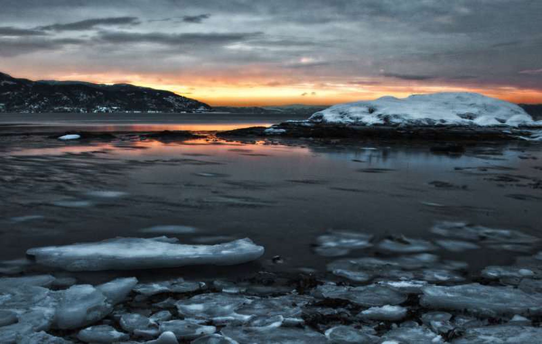 GuruShots - February 2026