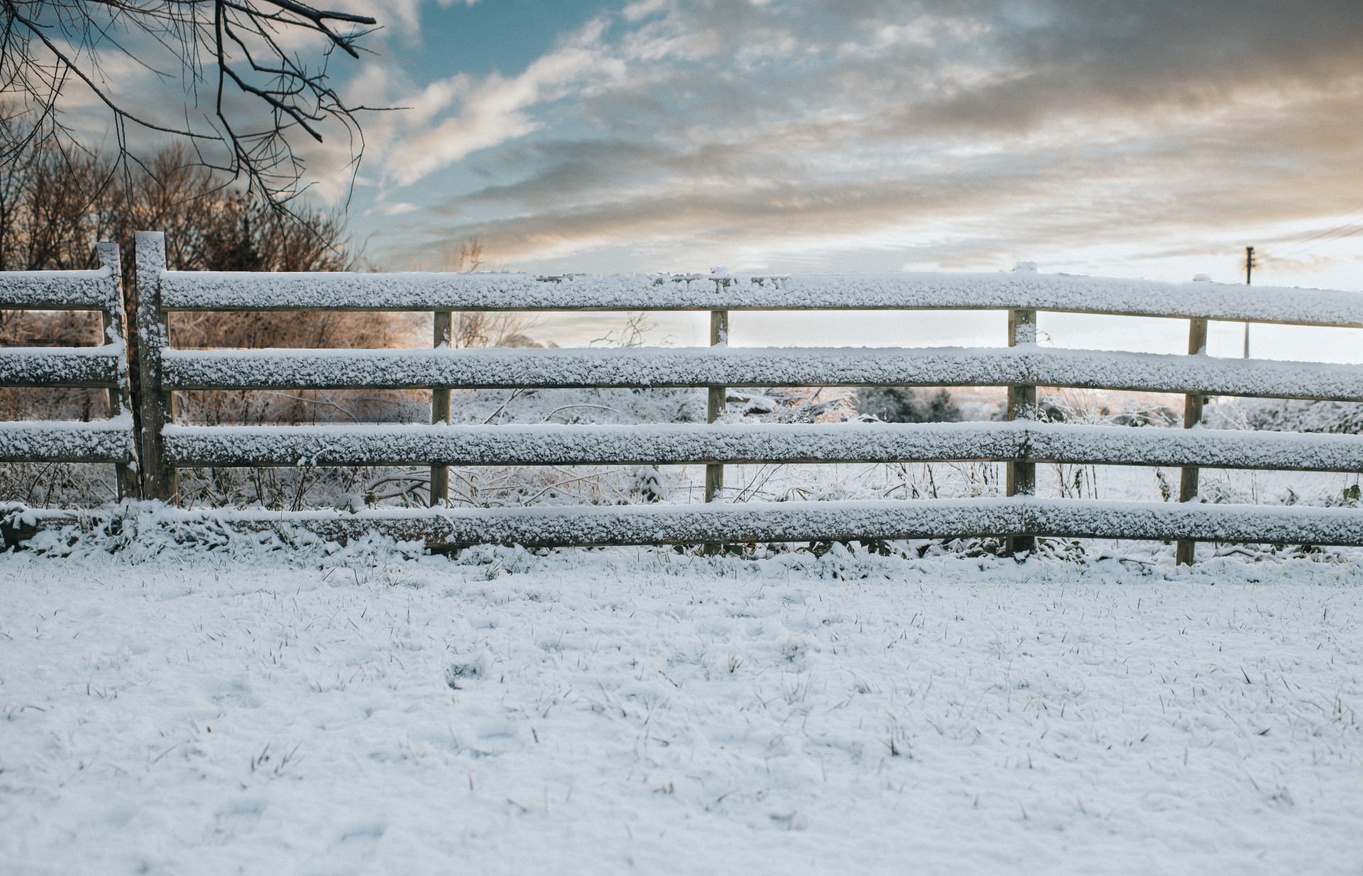 Wooden fence surrounds the garden and is covered with a dusting of snow