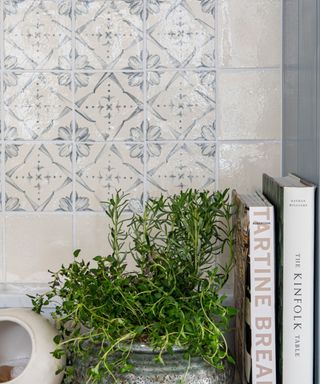A close up shot of white and blue mosaic tiles on a wall with a green plant in a gray vase and two white books on the shelf below