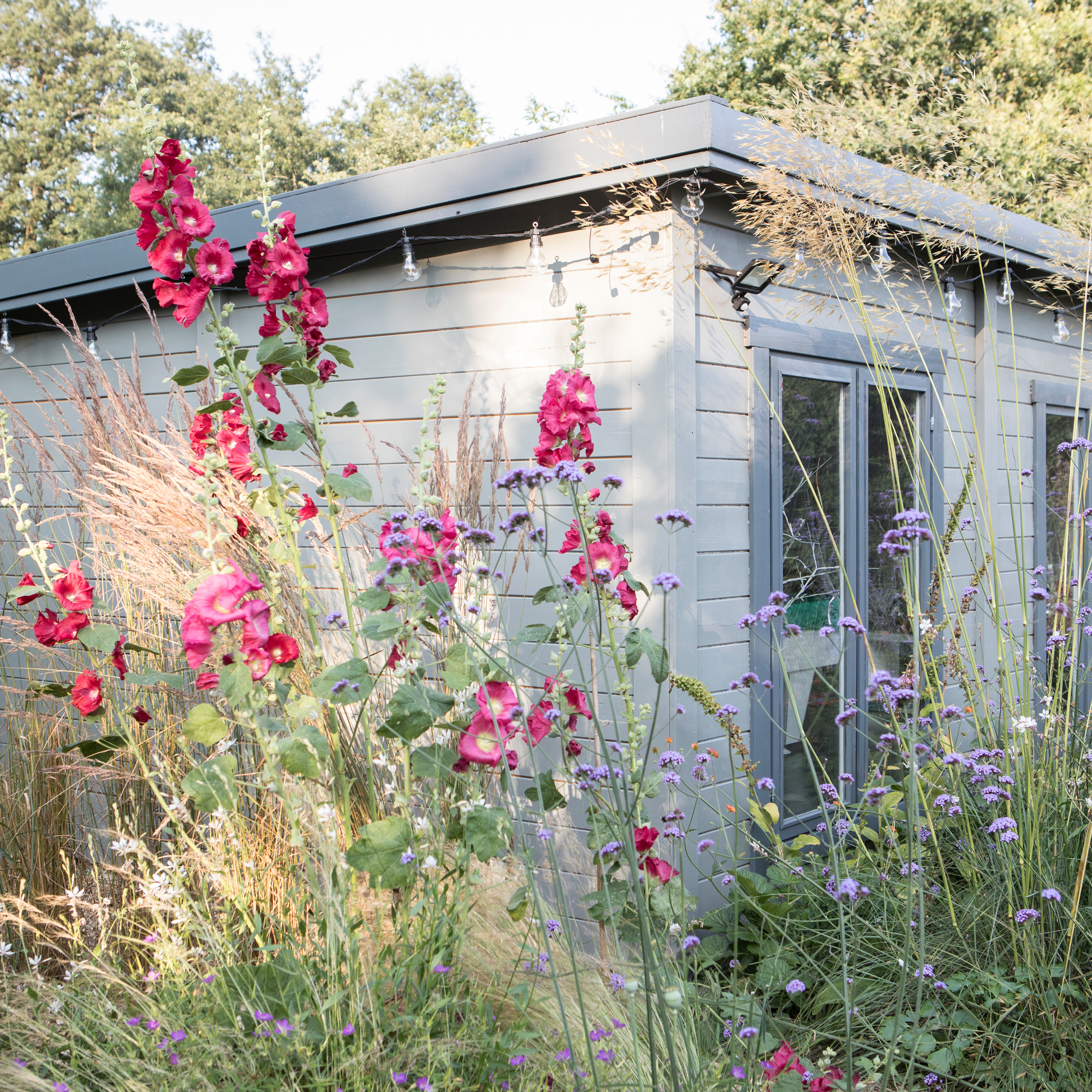 A blue shed in wildflower garden.