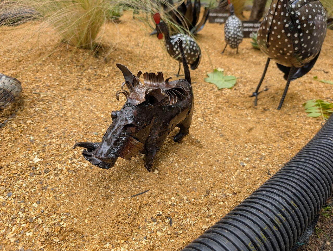 Chelsea Flower Show 26 &mdash;&nbsp;Day 1 pictures