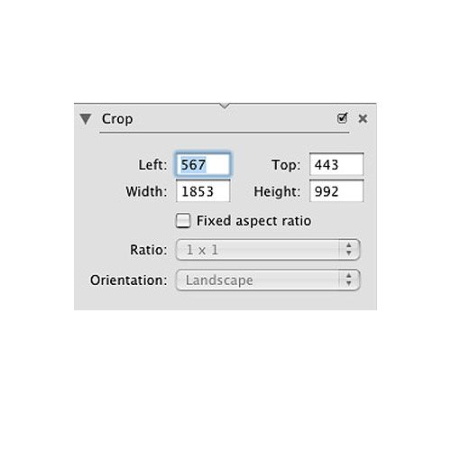 PhotoComplete image: This tool allows you to perform a crop.