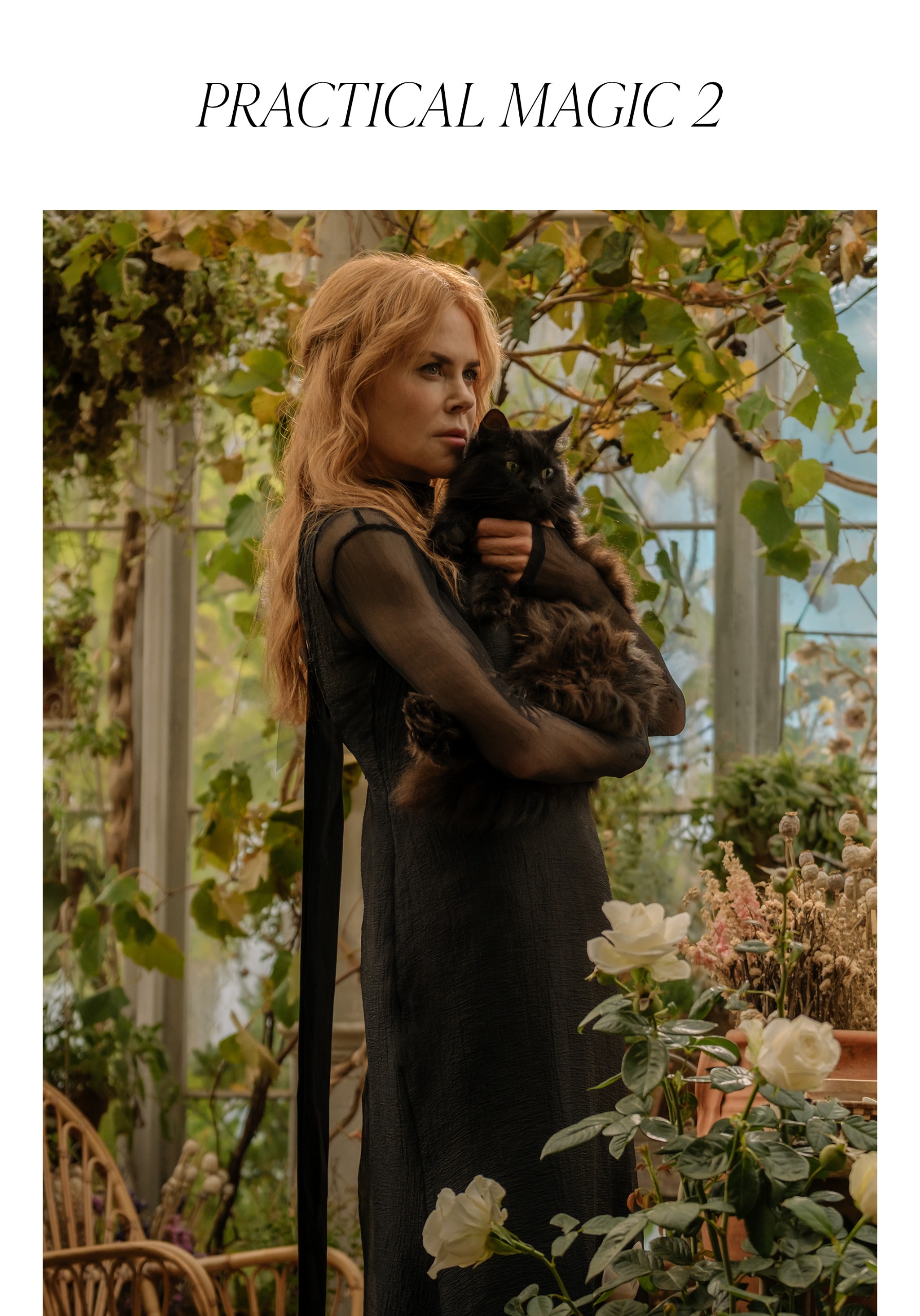 Practical Magic 2