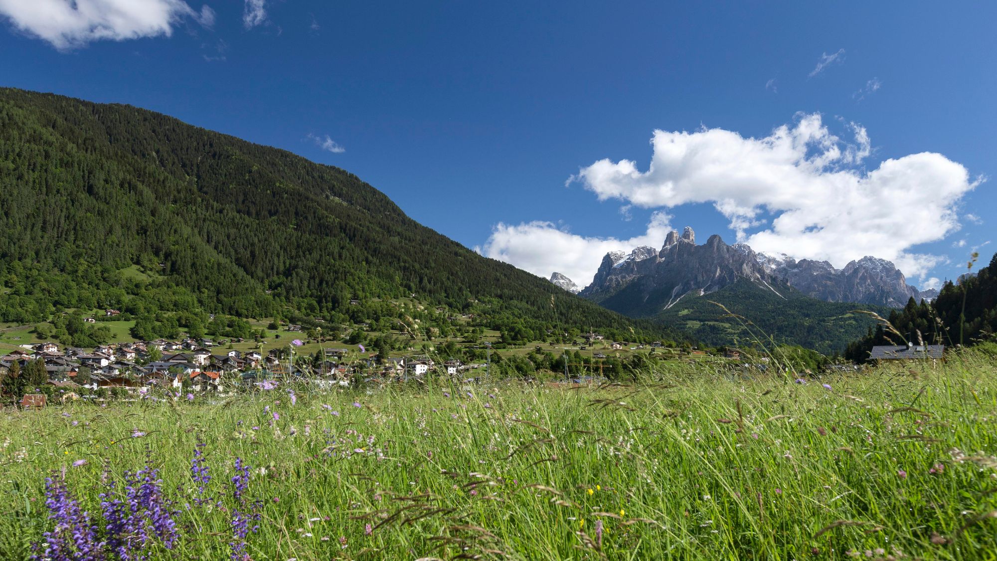 Trentino