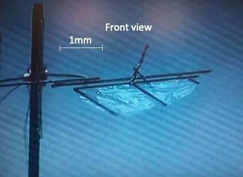 The wing of the &quot;fruit fly microbot.&quot;