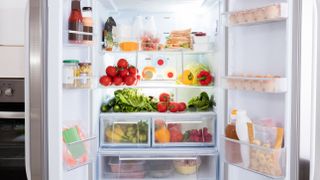 A fridge full of food