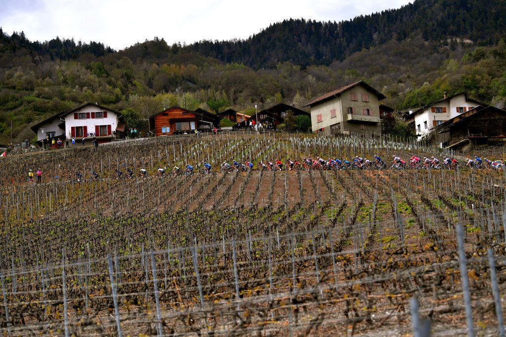 MARTIGNY SWITZERLAND APRIL 28 The peloton passing through vineyard landscape during the 74th Tour De Romandie 2021 Stage 1 a 1681km stage from Aigle to Martigny TDR2021 TDRnonstop UCIworldtour on April 28 2021 in Martigny Switzerland Photo by Luc ClaessenGetty Images