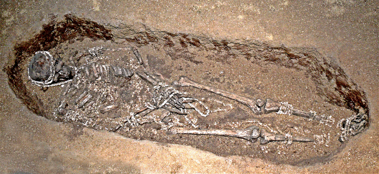 A view of a half-unearthed skeleton in the ground