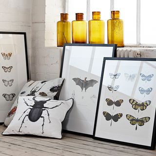 butterfly prints on wall frame