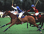7D8D69E1-005B-4F78-A190-DED9EF5636D3.jpg