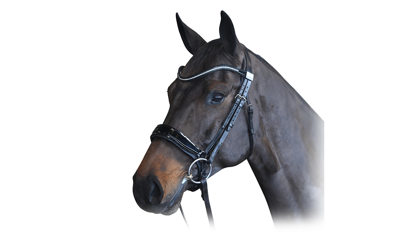 Fairfax anatomical snaffle bridle