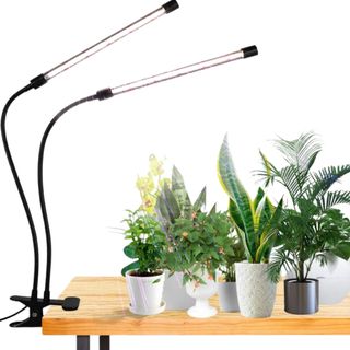 Clip-on grow light overlooking plants on a desk