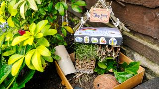 Bug hotel