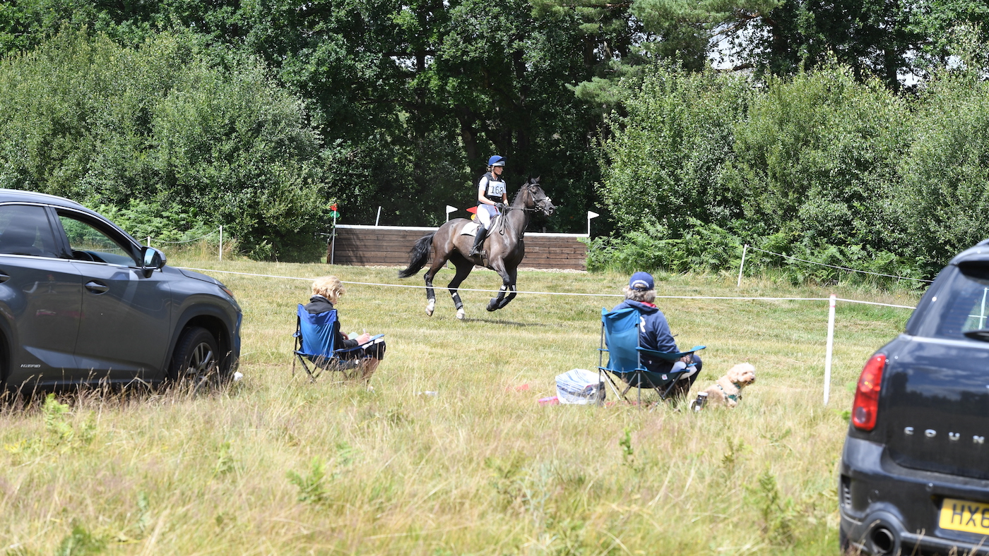 News_Tweseldown3_PN20_61347_404366381_711571212_TI-ARCHIVE.jpg