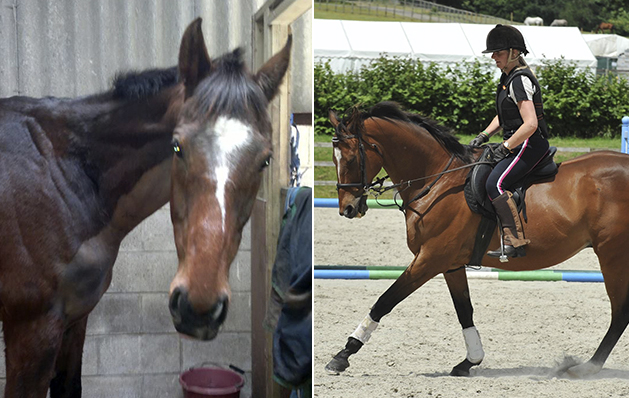 “This is my boy, Monty (AKA Looks The Business). The first picture was taken on the day that we went to view him in 2011 and the second one was taken in 2016 at an RoR camp. I wasn’t looking for an ex-racehorse, but when we saw him, I had to have him. It has taken a long time and lots of vet visits and physio treatment to get to where we are now but we are finally looking good for the future. He will be 16 this year and he raced until 2010, in over 80 races. We have achieved so much together and I would never part with him — he is one of the family forever” — Kristina McGuiness