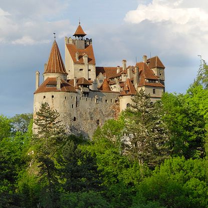 castle with trees